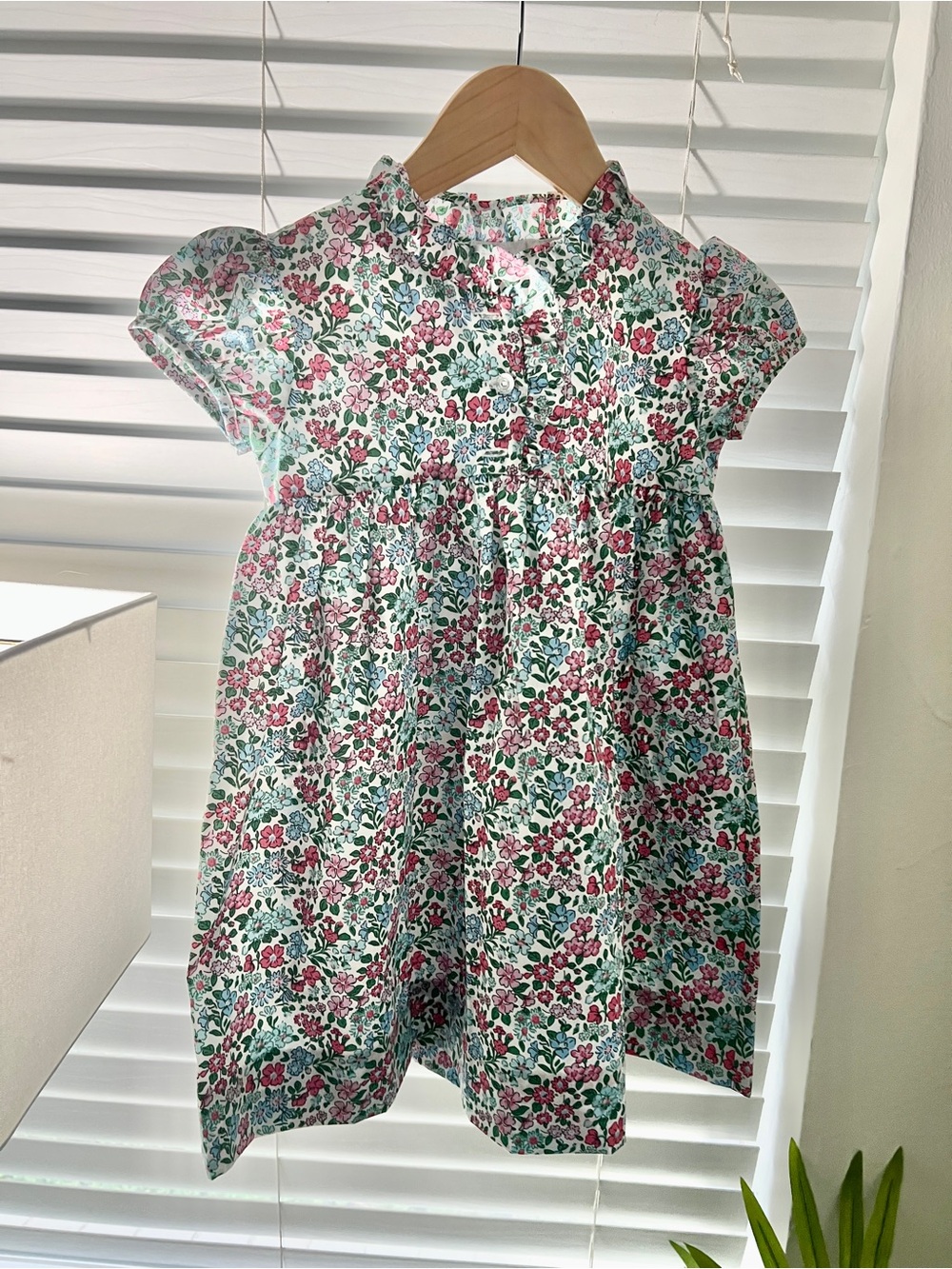 Little English Girls Floral Cap-Sleeve Dress in Green and Pink